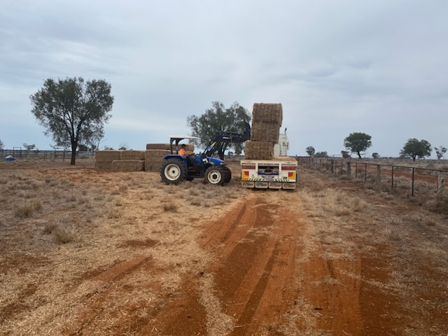 A tractor loading hay bales onto a truck under a cloudy sky on the red dirt and dry grass paddock
