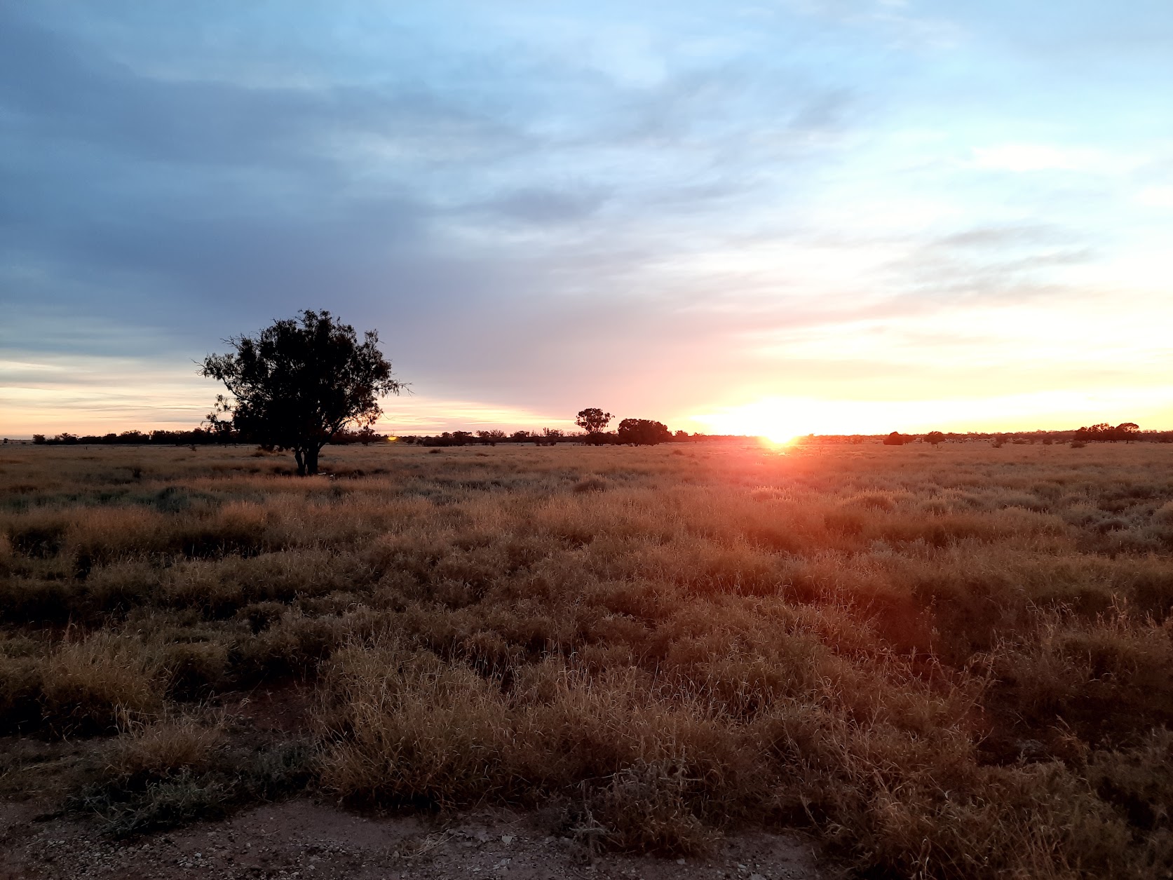 Sunrise over the dry grass paddocks at Ryans Ridge near Mungindi