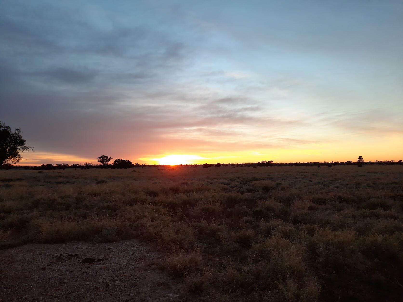 Morning light over the dry grass paddocks at Ryans Ridge